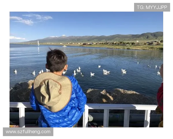 重庆羽毛球队防守革新之路探索与实践分析